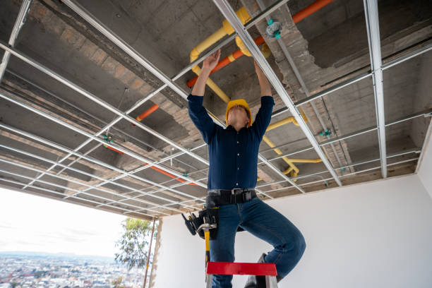 Best Residential Plumbing Services  in Ragland, AL